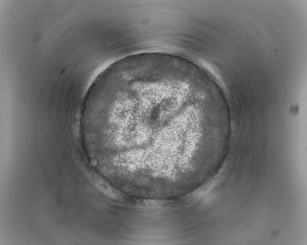 X0000090720875200708171924