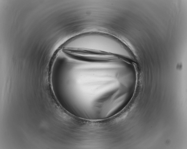 X0000090720877200708171924