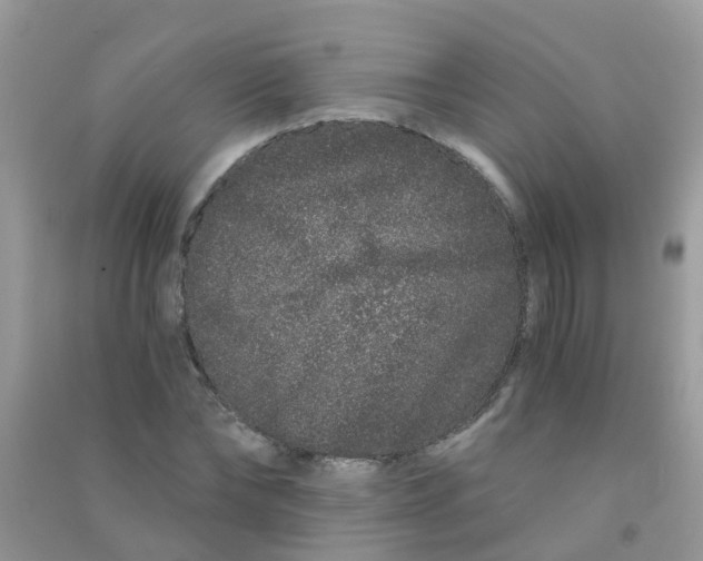 X0000090720878200708171924