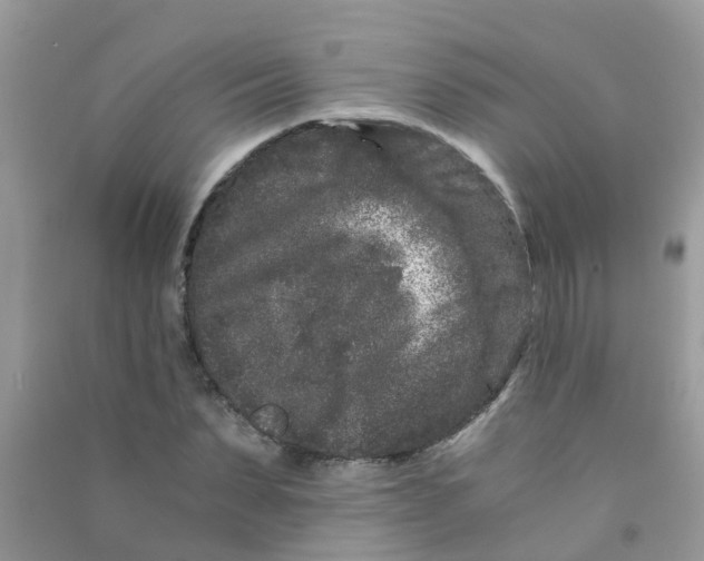 X0000090720879200708171924