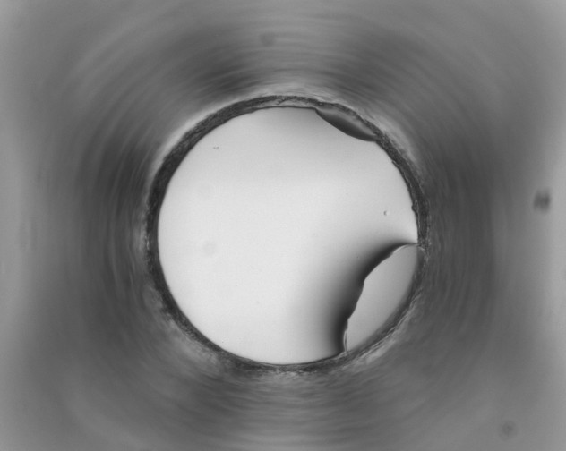 X0000090720880200708171924