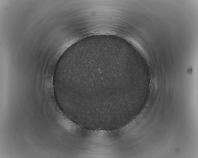 X0000090720881200708171924