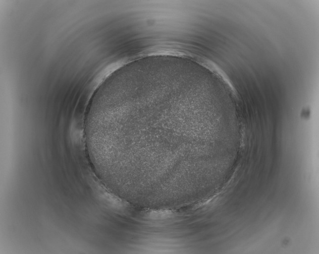 X0000090720882200708171924