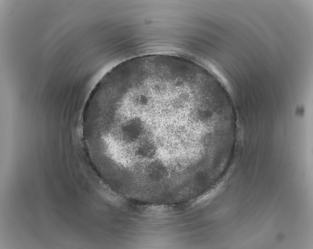 X0000090720883200708171924