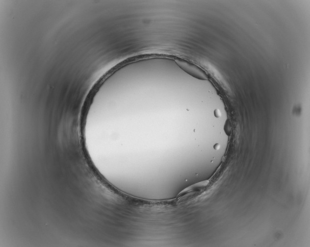 X0000090720884200708171924