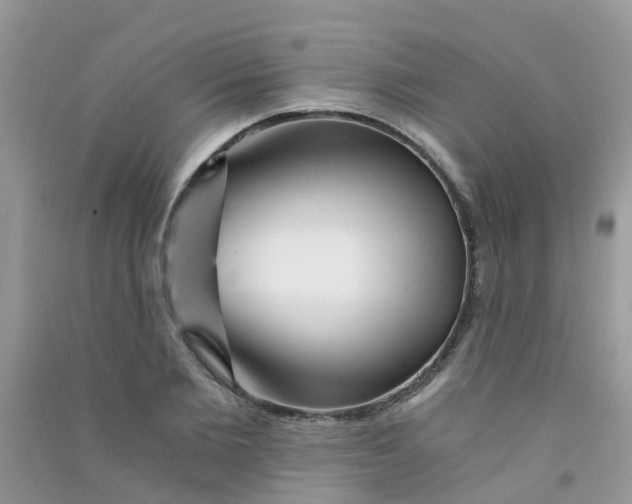 X0000090720885200708171924