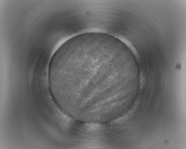 X0000090720886200708171924