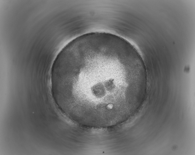 X0000090720887200708171924