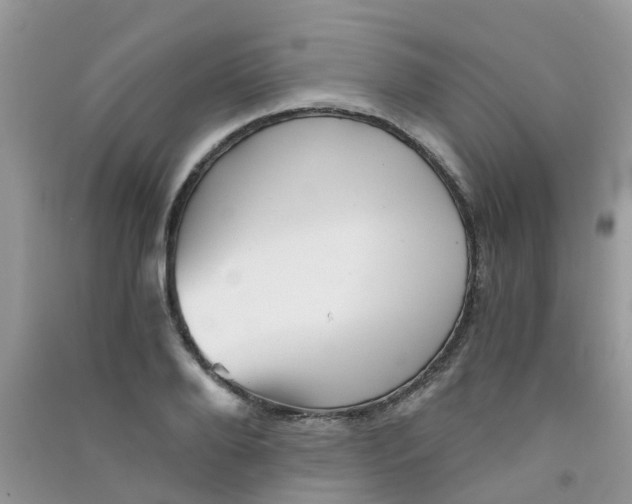 X0000090720888200708171924