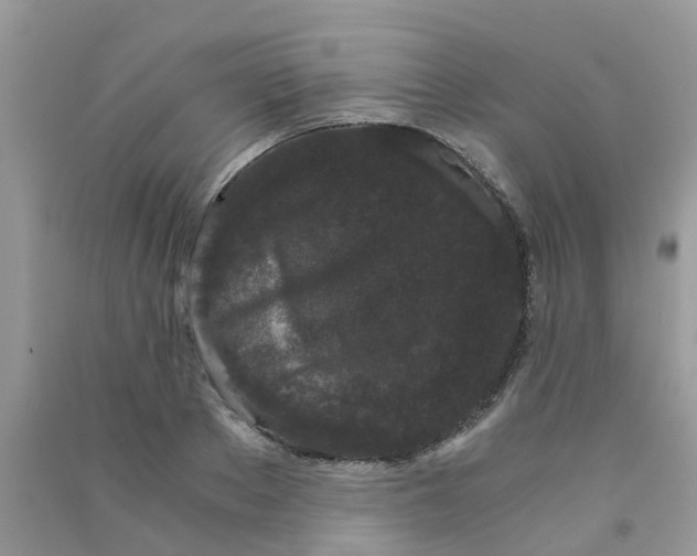 X0000090720889200708171924