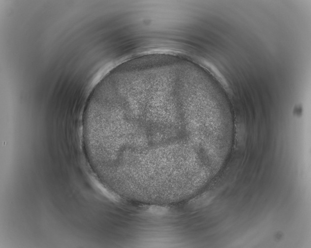 X0000090720890200708171924