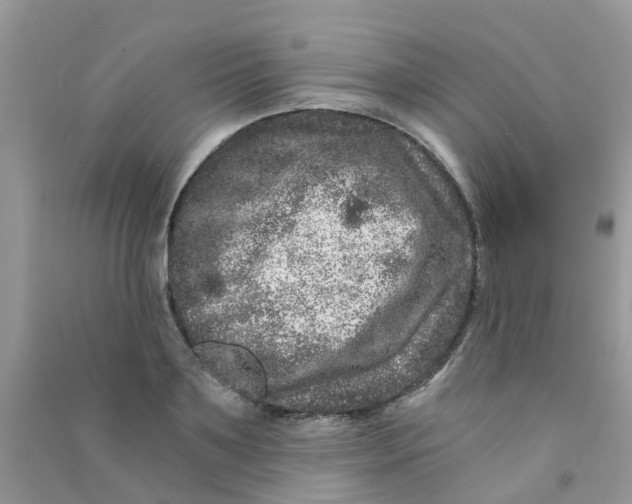 X0000090720891200708171924