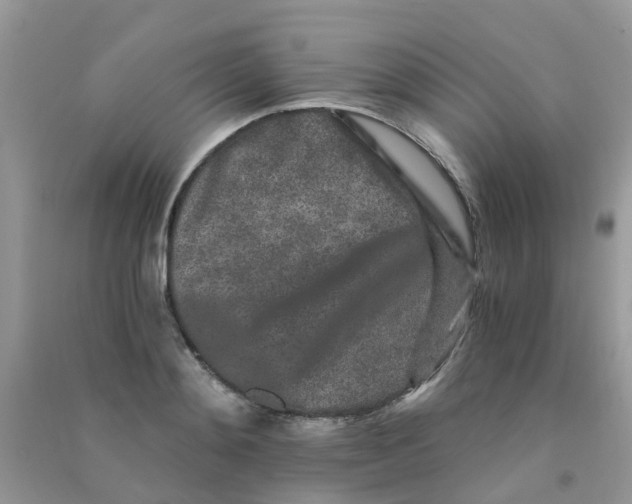 X0000090720892200708171924