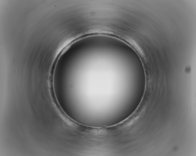 X0000090720893200708171924