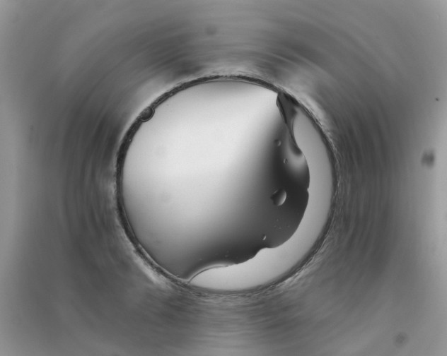 X0000090720894200708171924