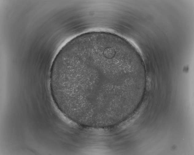 X0000090720895200708171924