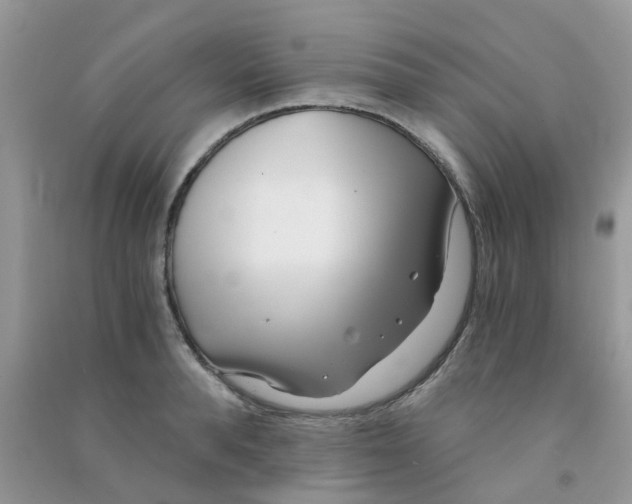 X0000090720896200708171924