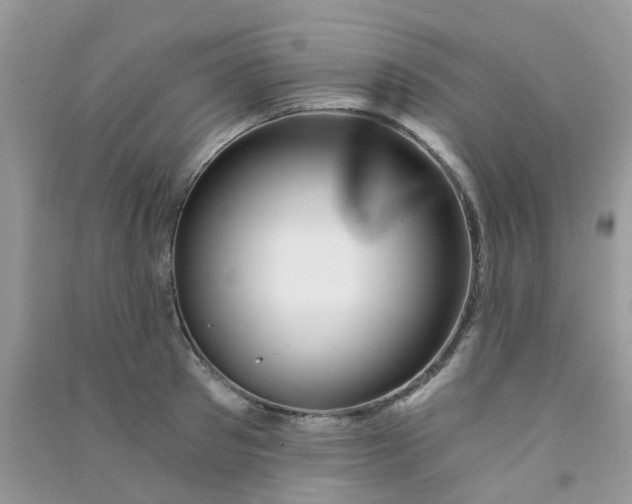 X0000090720897200708171924