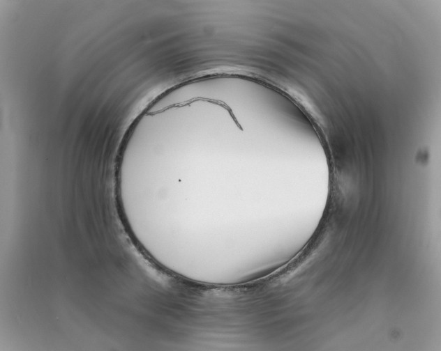 X0000090720898200708171924