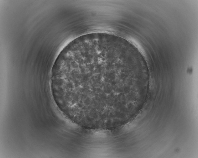 X0000090720899200708171924