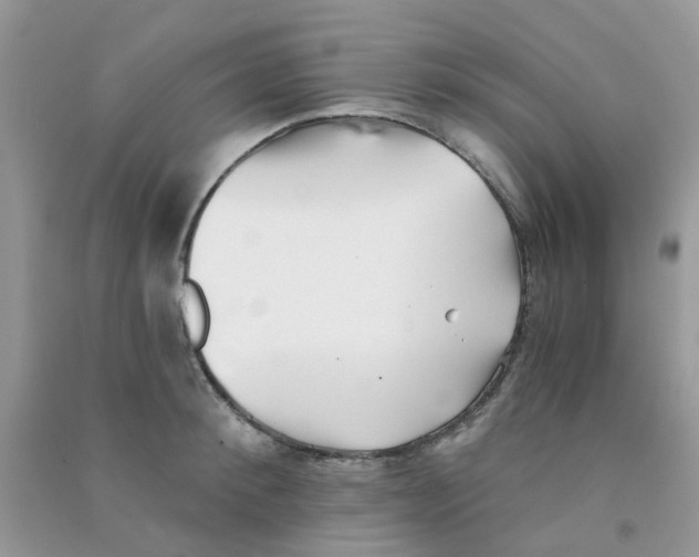 X0000090720900200708171924