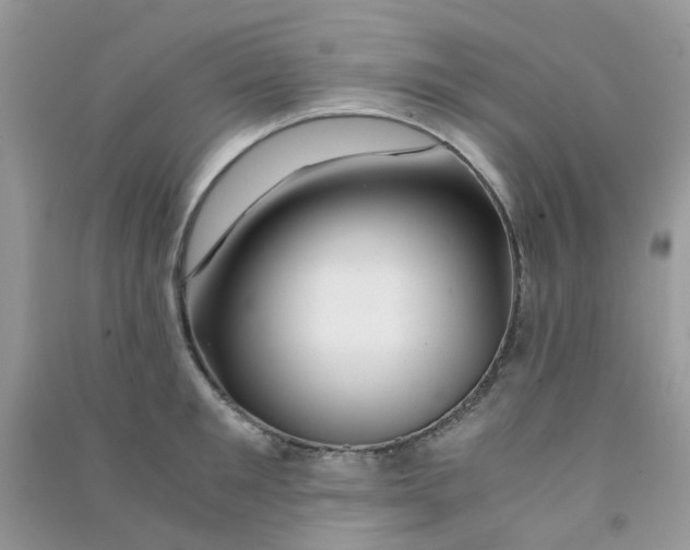 X0000090720901200708171924