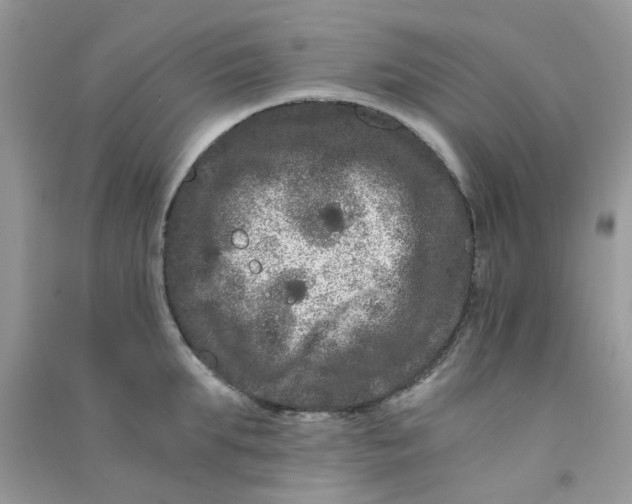 X0000090720903200708171924