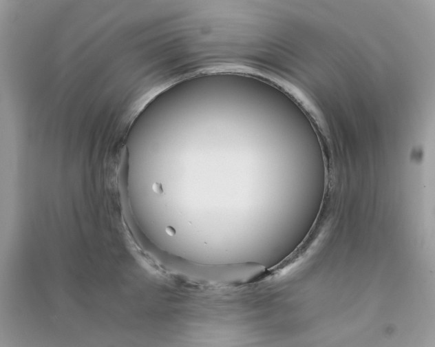 X0000090720905200708171924