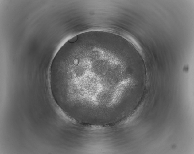 X0000090720907200708171924