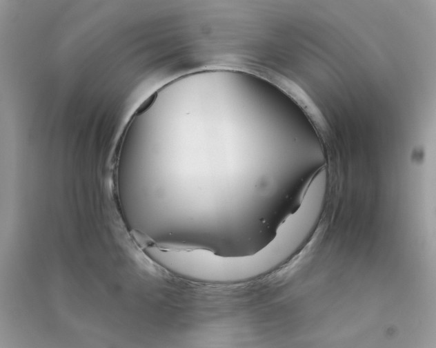 X0000090720908200708171924