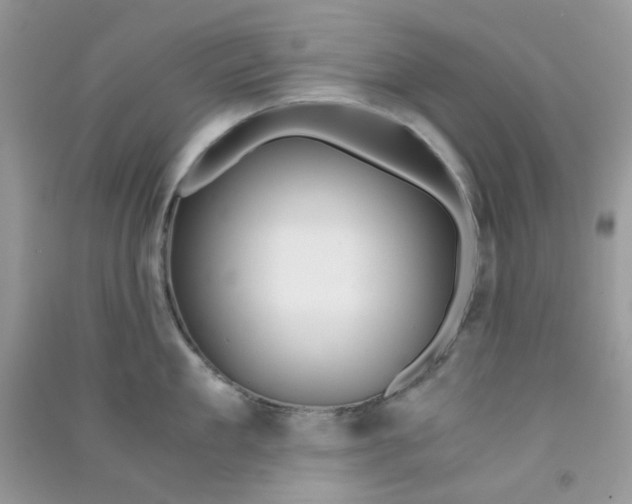 X0000090720909200708171924