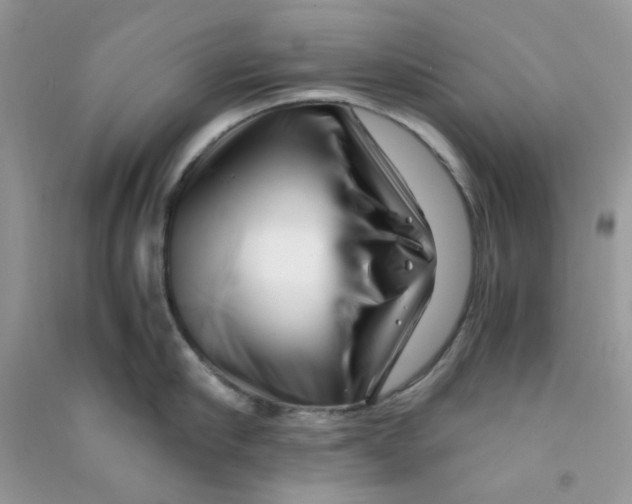 X0000090720910200708171924