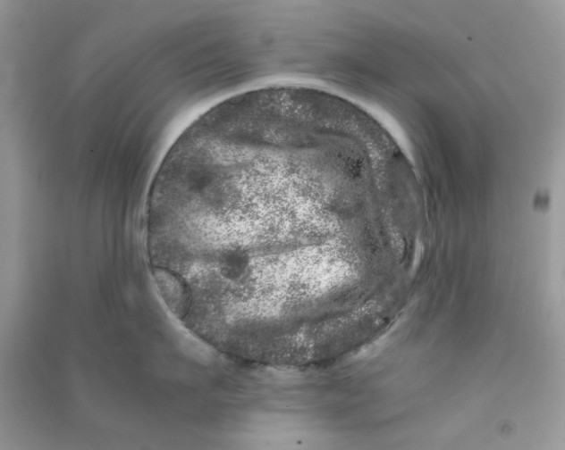 X0000090720911200708171924