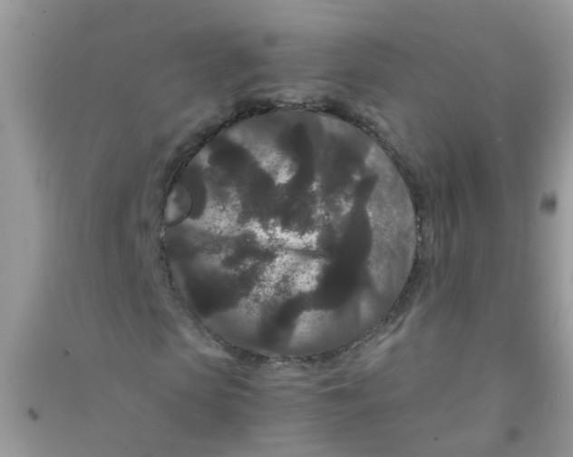 X0000090720913200708171923