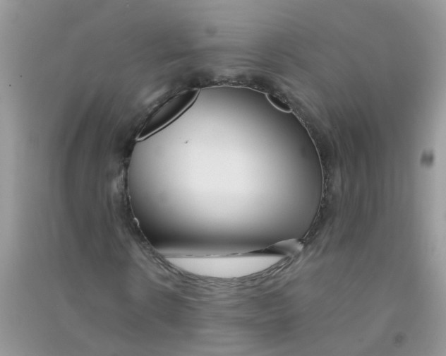 X0000090720914200708171923