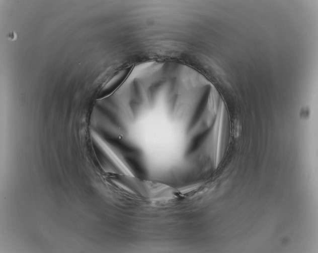 X0000090720915200708171923