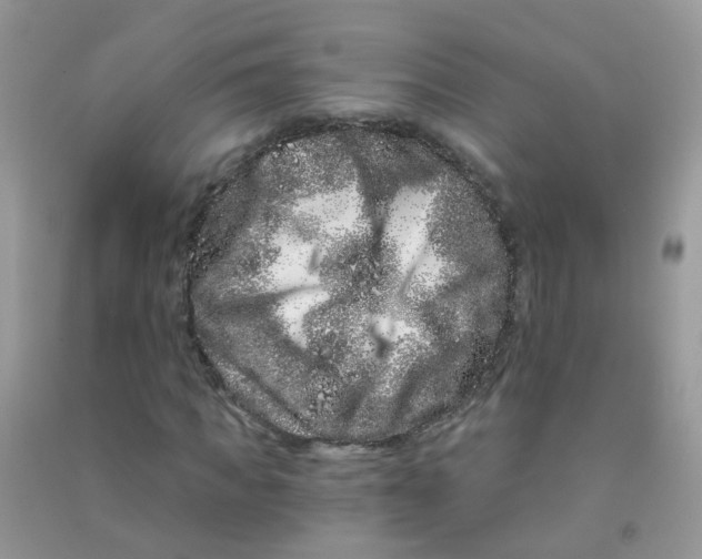 X0000090720917200708171923