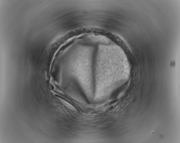 X0000090720919200708171923