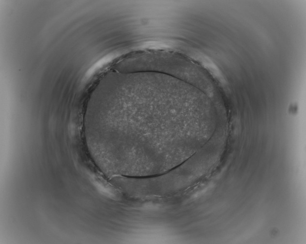 X0000090720920200708171923