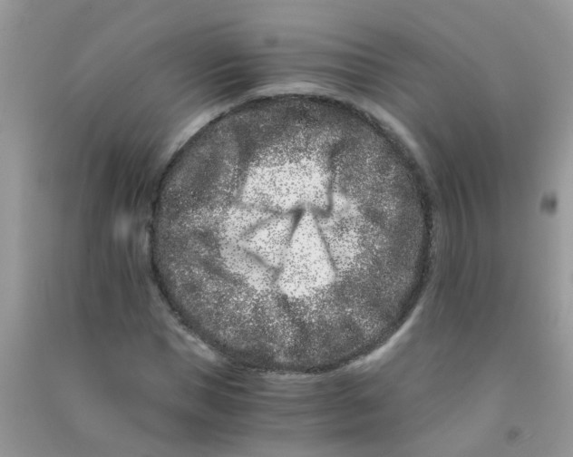 X0000090720921200708171923