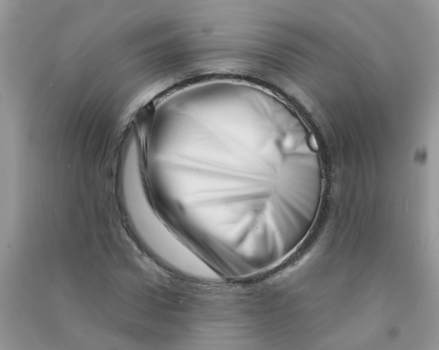 X0000090720922200708171923