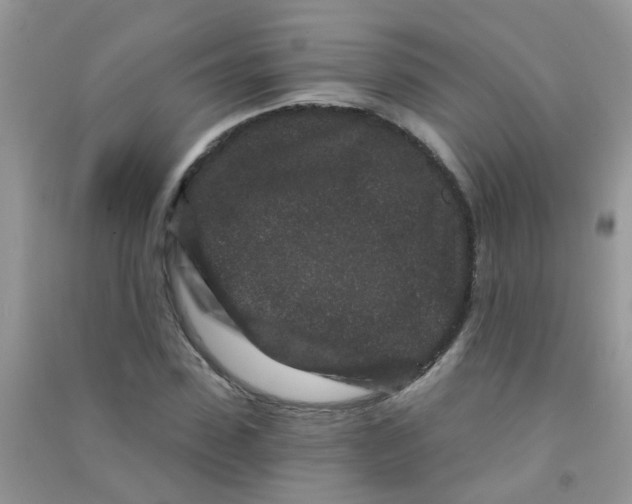 X0000090720923200708171923