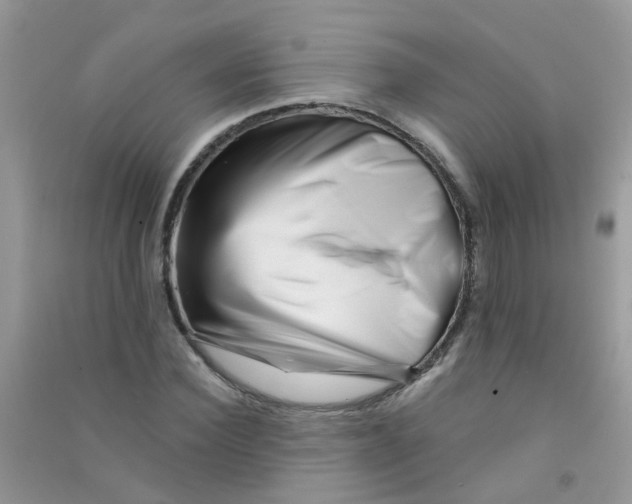 X0000090720924200708171923