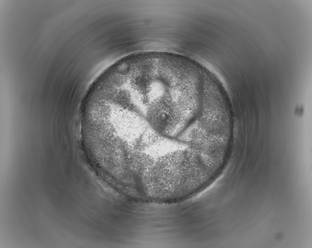 X0000090720925200708171923