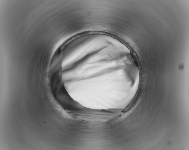 X0000090720928200708171923