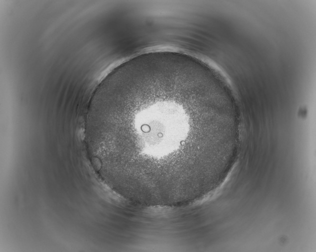 X0000090720929200708171923