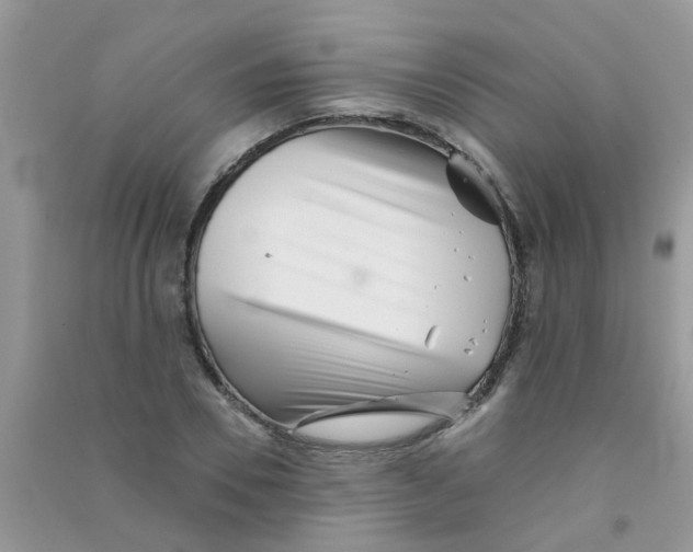 X0000090720930200708171923