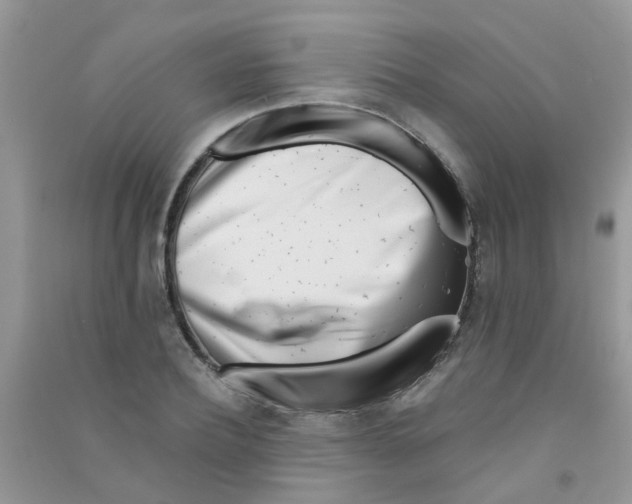 X0000090720932200708171923