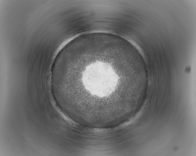 X0000090720933200708171923