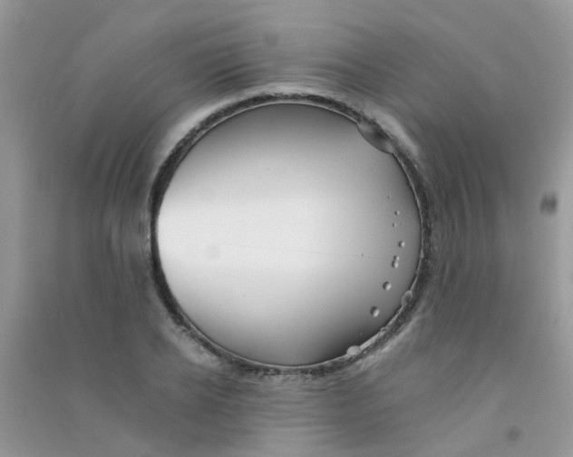 X0000090720934200708171923